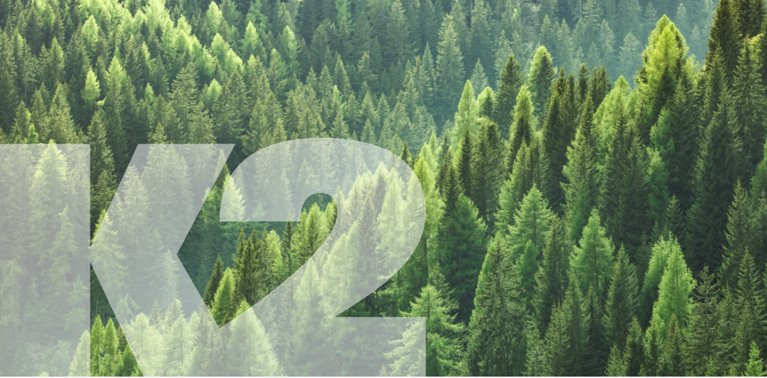 photo of forest with k2 logo overlayed